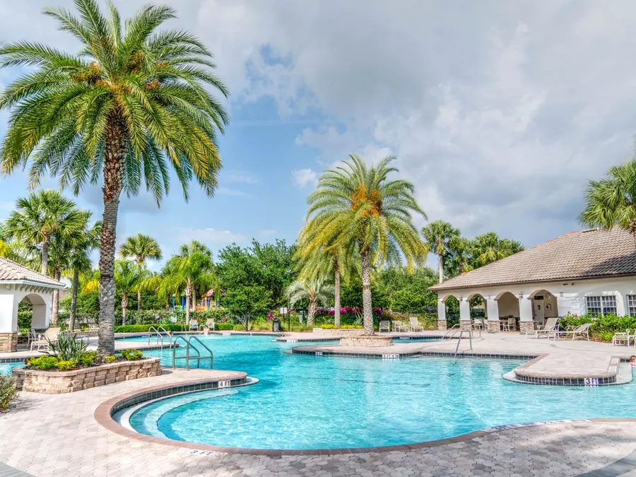 The pool under palms