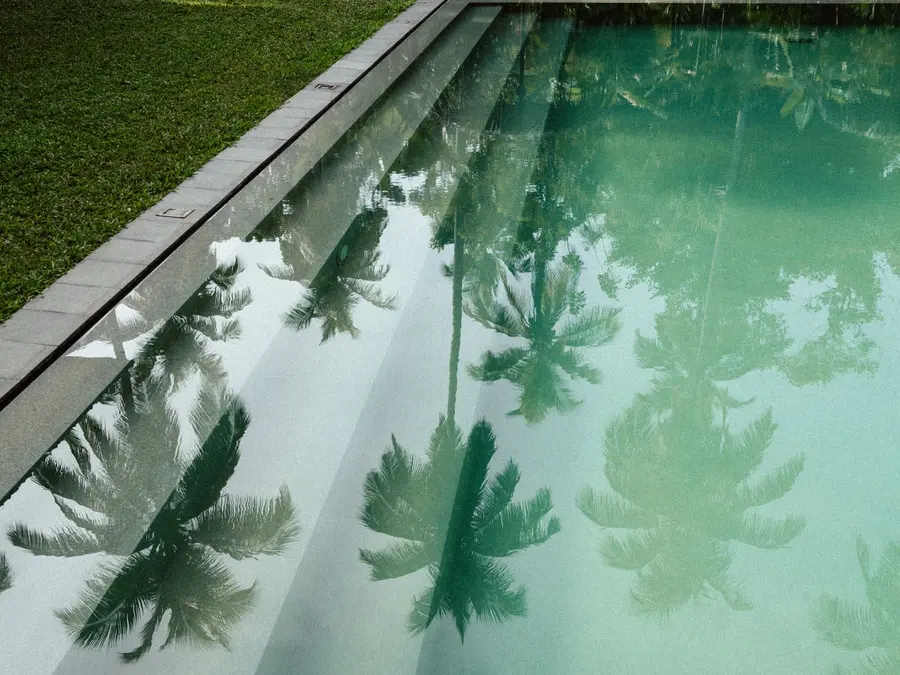 Palms reflected in still water