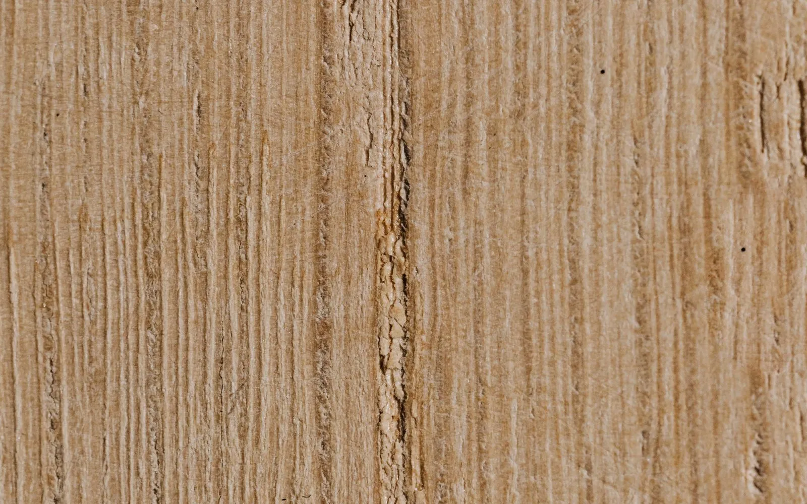 Oak grain macro